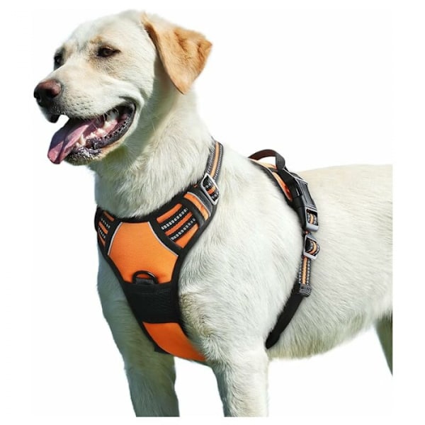 Orange, Hundsele, Justerbar Reflex Anti-Drag Hundsele,