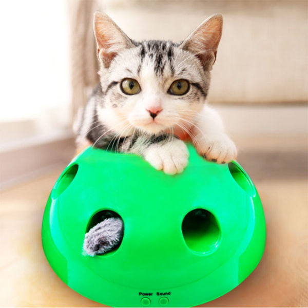 Itse pelaava kissanlelu N Play Cat Toy Cat Interactive Automatic Tea