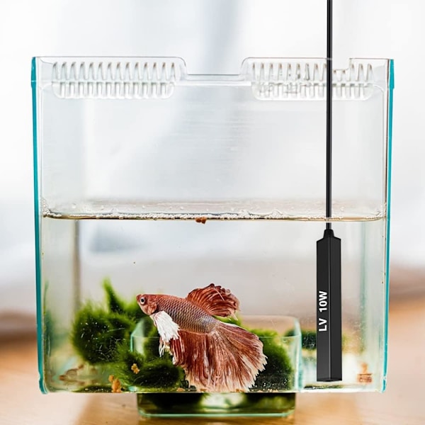 Nedsænkelig akvarievarmer, 10W IP68 vandtæt mini akvarievarmer