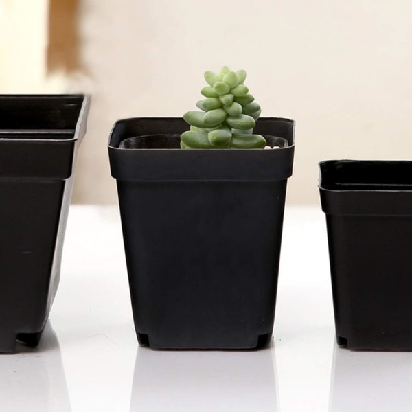 50-pack svarta planteringshinkar - fyrkantiga plastkrukor - små