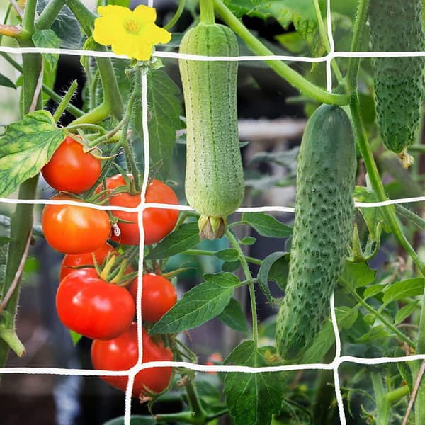 Espaliernet Kraftig Haveplantenet til Klatring