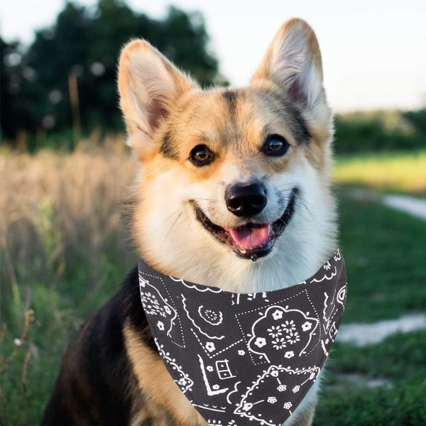 Fashion Dogs Bandana säädettävät huivit pienelle koiranpennulle (musta)
