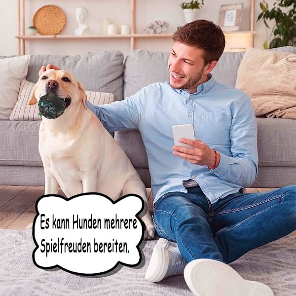 Fodbold til hundelegetøj, interaktiv fodbold, vandlegetøj til hunde