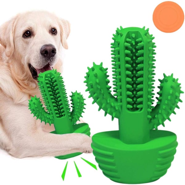 Koiran lelu purulelu koiran poskipuikko vihreä kaktus