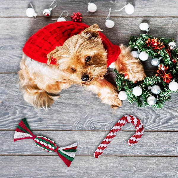 8 st husdjursleksaker hund julklapp låda tugg rengöring bomull R
