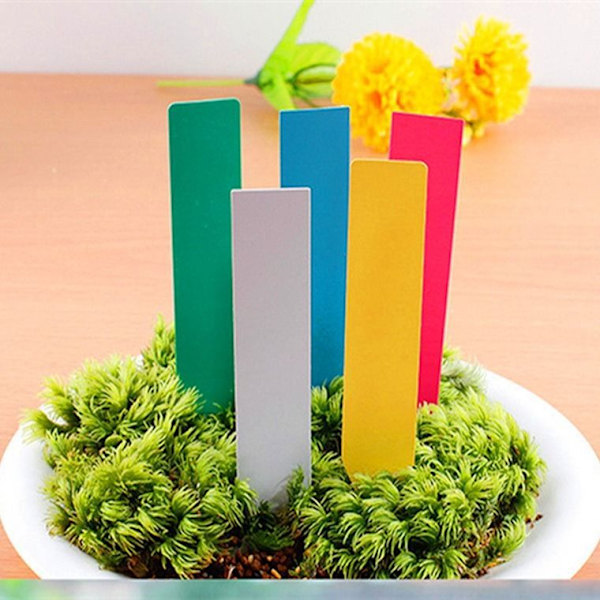 2-pack Vattenkanna, Succulent Vattenflaska Växtblomma Squee