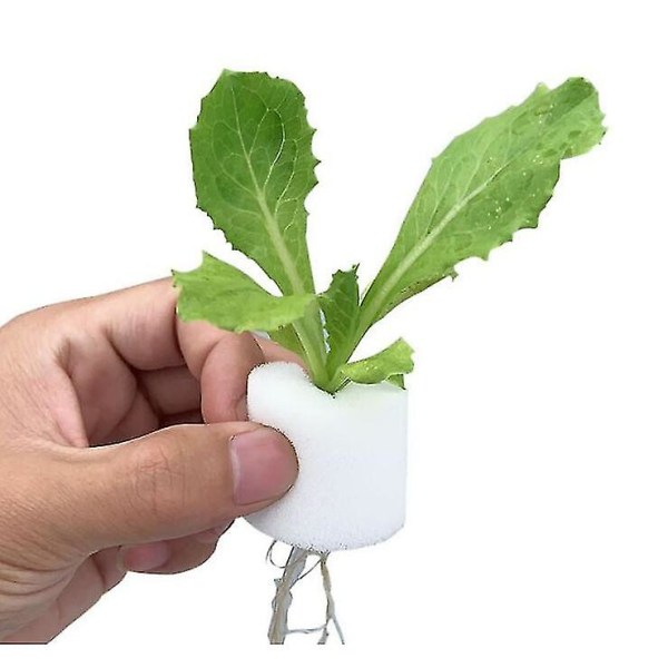 10 stk. 60mm Hydroponics Net Pot Mesh Kurv Børnehave Bomuld Planti