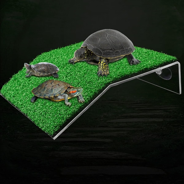 1 stycke sköldpaddssolplattform, vattensköldpaddssolplattform