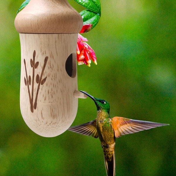 Trähummingbird Utomhus Hängande, Kolibribo Wren Svala