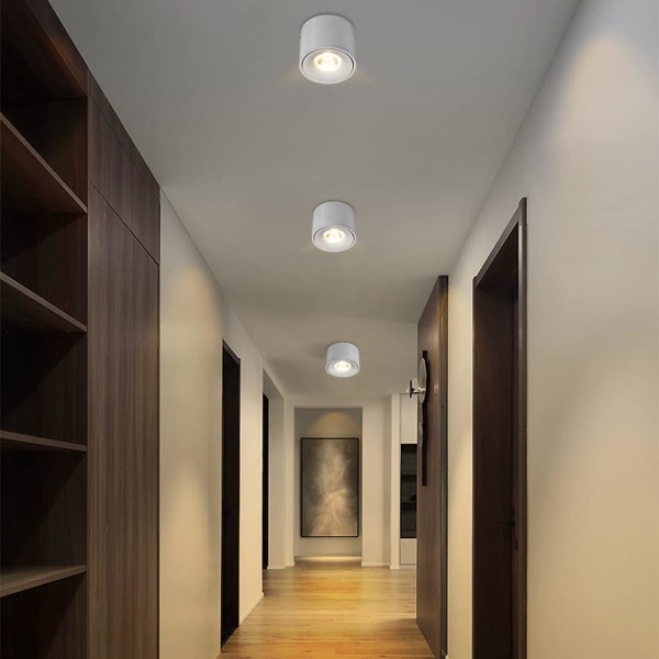 15W LED-downlight for tak, justerbar lampehusvinkel, I