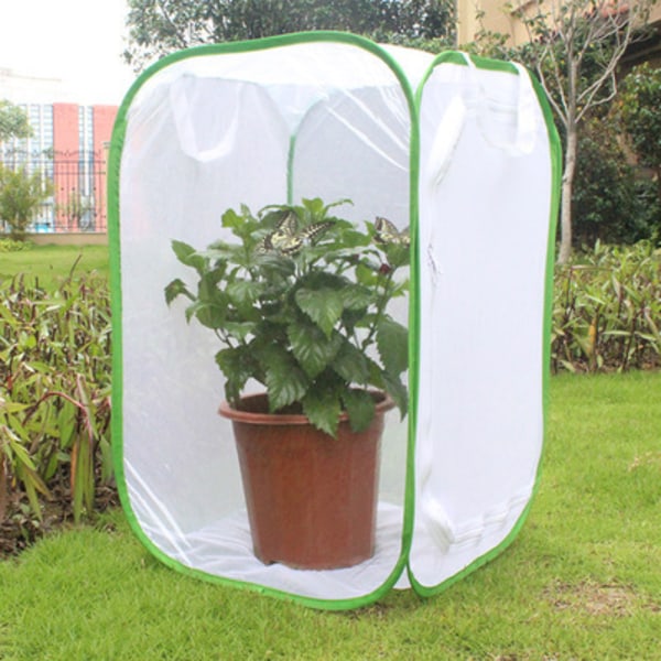Insekt och fjärilshabitat Bur Terrarium Pop-Up 40*40*60cm