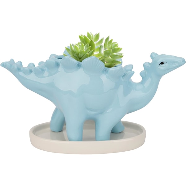 Keramiska dinosaurie-krukor, krukor för suckulenter, kaktusblomkrukor
