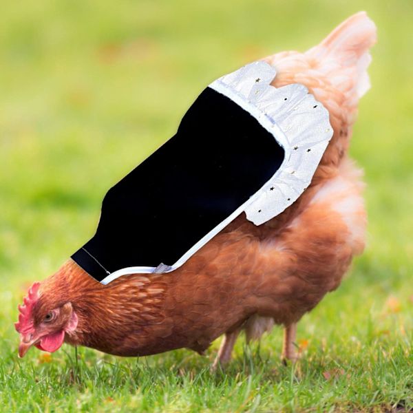 Kanan essu, kanansatula kanoille, takana taustahöyhen C