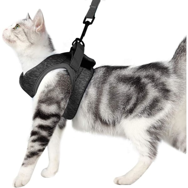Sele och koppel för katthalsband Kattunge Ultralätt kattpromenad