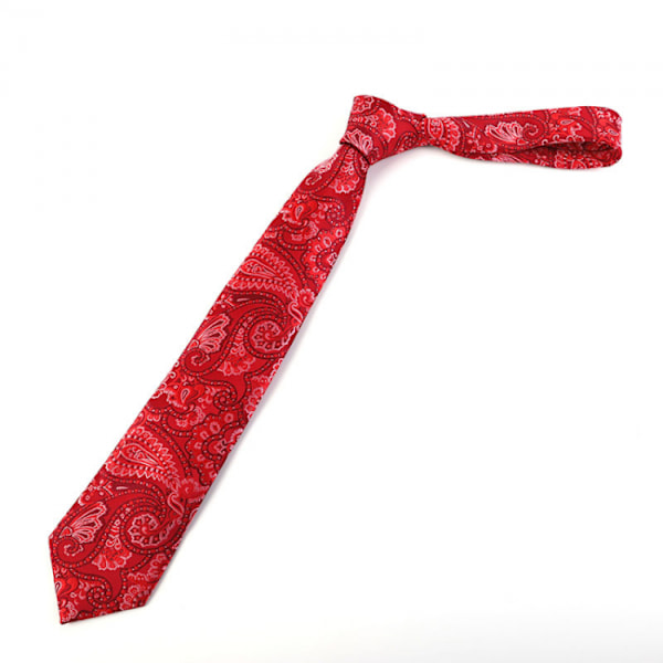Ny klassisk herr Paisley silkeslips