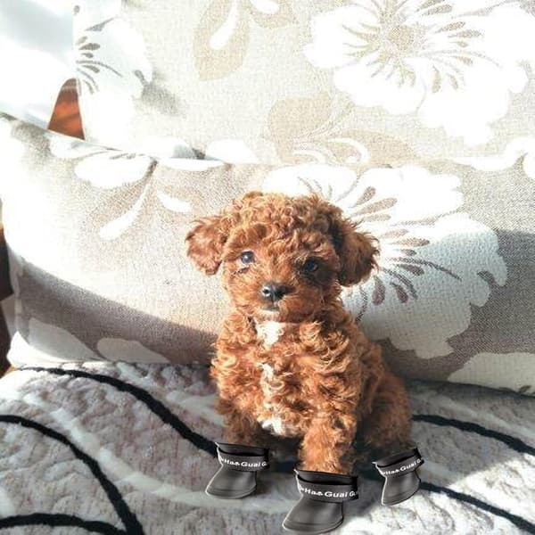 (5 cm × 4,2 cm, Sort) 4 stk. Regnsko til hunde, Silikone Hunde