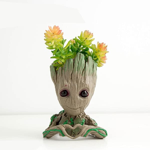 Groot Blomsterpotte, Hjerteformet Groot Blomsterpotte, Sukkulent Blomster