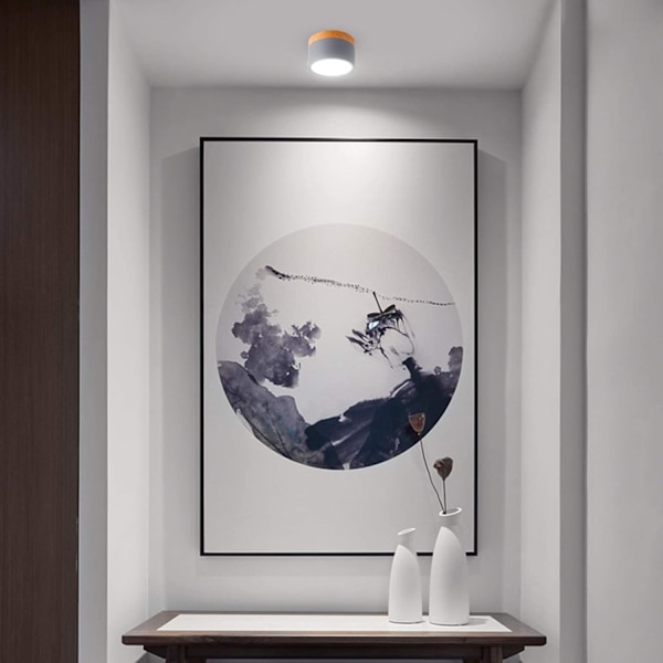 Overflate montert takspotlight Rund LED Scrub Grå Kald Hvit
