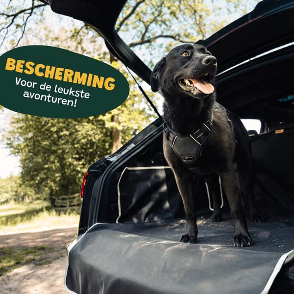 Hundfilt Bilbagage - Bilfilt Hund - E-bok ingår - Protec