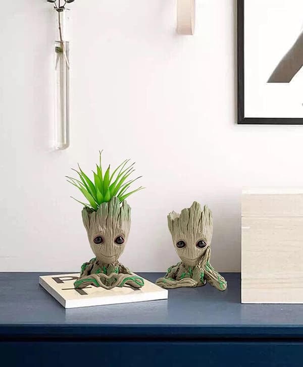 Groot Blomkruka, Hjärtformad Groot Blomkruka, Succulent Blomkruka