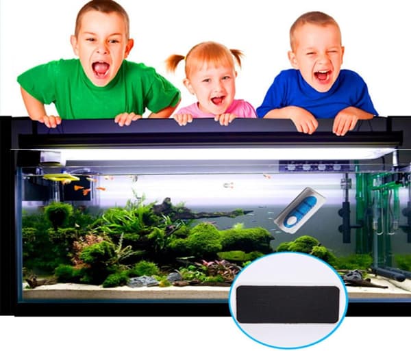Magnetisk akvariefisketank glasskrape algefjerner S