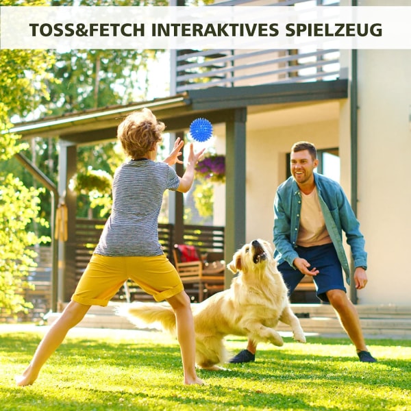 3-pack hundsqueakbollar, hundtuggboll, poolleksak, valpleksak
