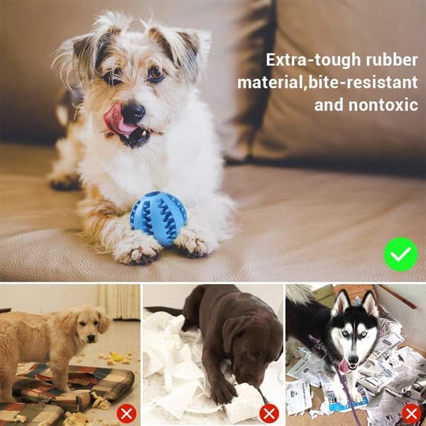 Hundgodisbollar, gummikulor för tänder, bitresistent, giftfri