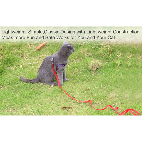 55 FT Puppy/Dog Leash, Strong and Durable Traditional Style Leash