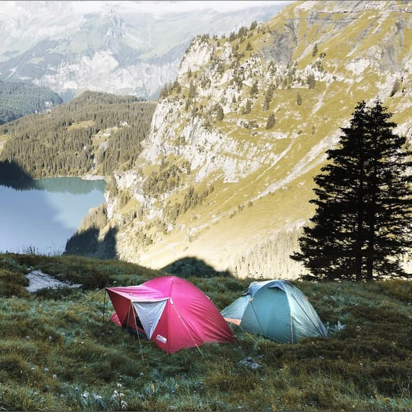 8X teltplugger i stål - lange, holdbare plugger med plastramme for camping