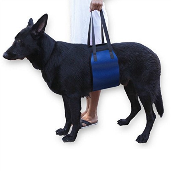Ekstra belte for kjæledyr, klassisk løftesele for eldre eller syke hunder når de går i trapper, går inn og ut av kjøretøy, blå (XL)