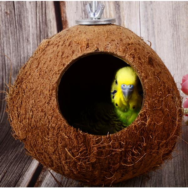 Fugl Hamsterhus Kokosnøtthus, Kokosnøttskall Kan Festes Bambus,
