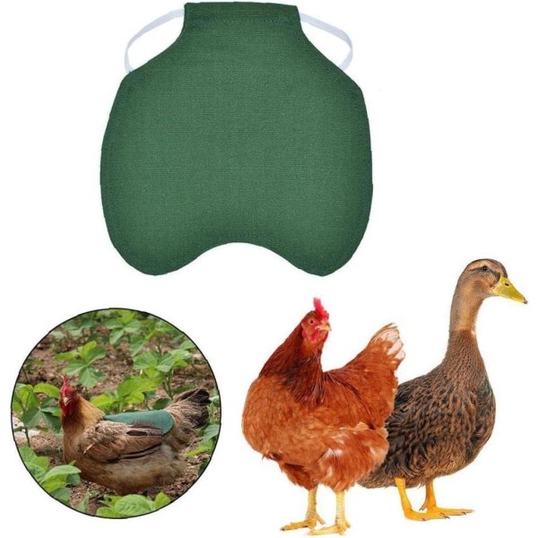 3 st kycklingsadel husdjurskläder hönsförkläde hönsförkläde fjäderfä H