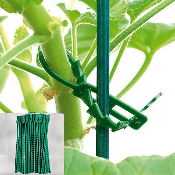 100 stk. Tomatplanteholdere Træplanteholdere Justerbare planteholdere T
