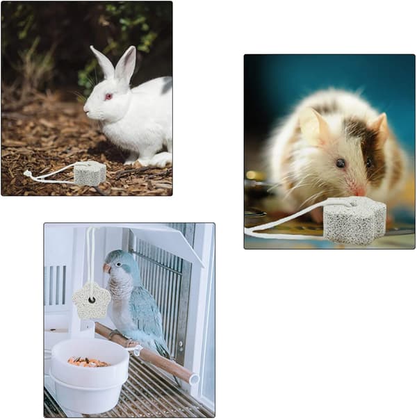 Hamstersten, Hvid Tandbørstning Mineralsten, Tyggelegetøj til