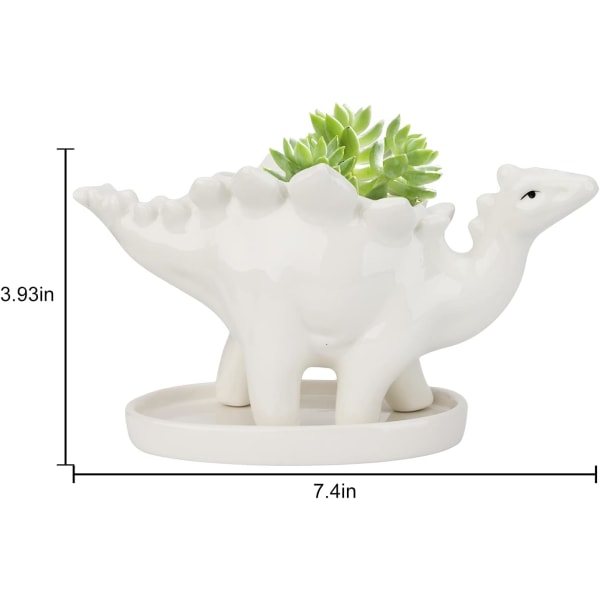 Succulent Keramik Kruka, Dinosaurie Växtkruka, Kaktus Krukor