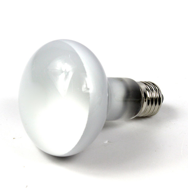 UVA+UVB Reptil Lampa Glödlampa Sköldpadda Solande UV Ljus Glödlampor Värme L