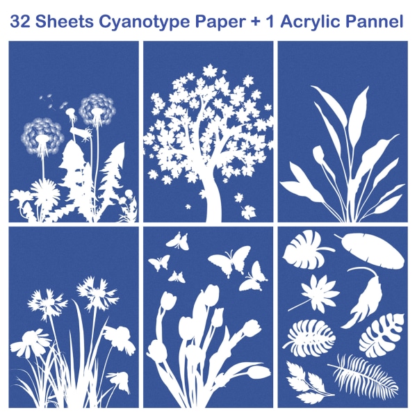 Cyanotype-papir, 32 ark højfølsomt soltryk Naturtryk