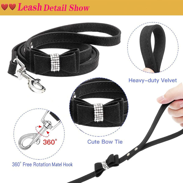 Svart hundhalsband med koppel husdjurshalsband och koppel justerbart hundhalsband