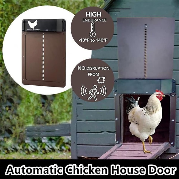 Automatisk hönshusdörr, batteridriven automatisk hönskoja
