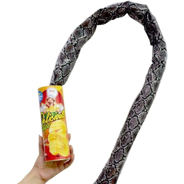 Prank Toys Potatischips Orm Lurig Leksak Rolig Skämt Hopp Pop Out