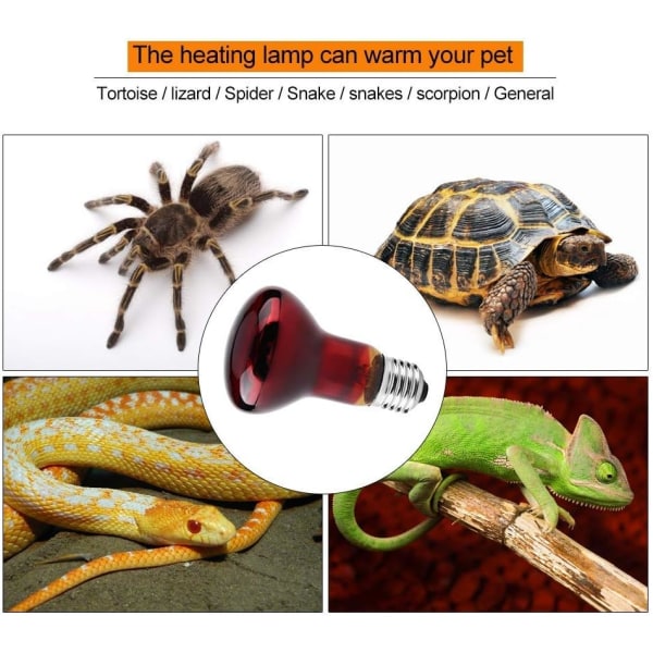 Slitesterk infrarød keramisk varmelampe for reptil kjæledyrkraft