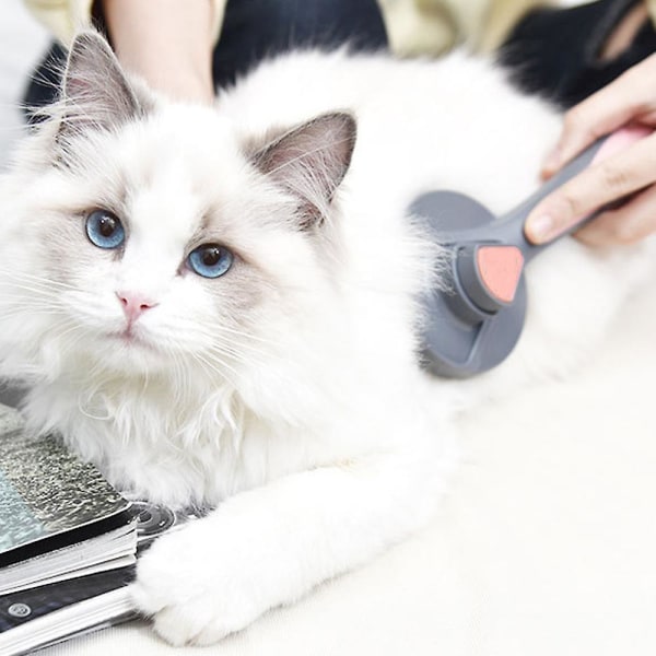 Pet Brush Cat Beauty Brush Självrengörande massageborste Beauty Too