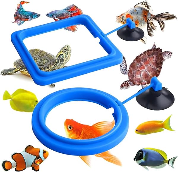 Fiskmatningsring, 2st Aquarium Fish Turtle Tank Tillbehör Avgift