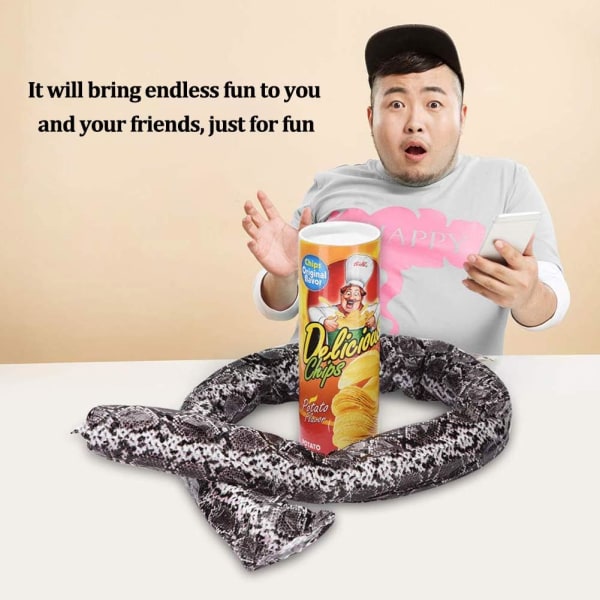 Prank Toys Potatischips Orm Lurig Leksak Rolig Skämt Hopp Pop Out