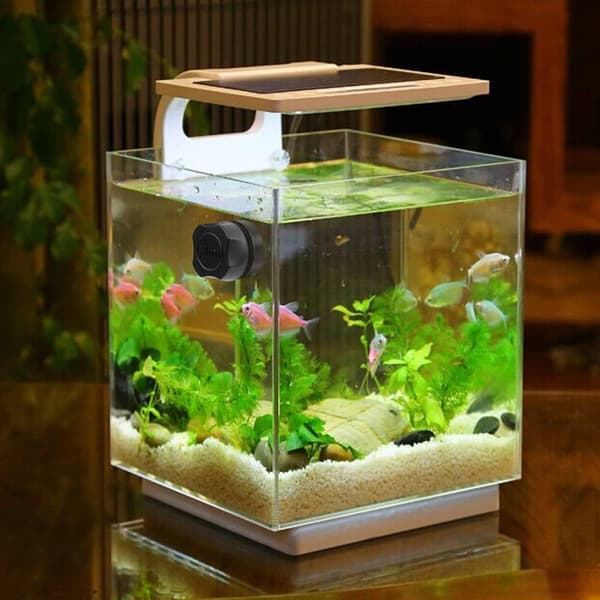 Mini Akvarium Algrengöringsmagnet för Liten Glasfisk Tank