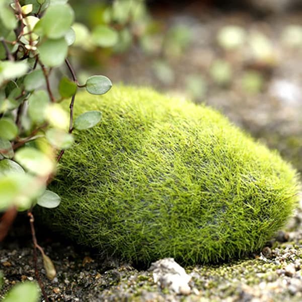 6 st konstgjorda mossbollar gröna mossbollar bitar av falsk sten