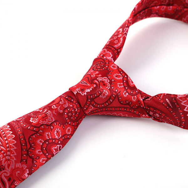 Ny klassisk herr Paisley silkeslips