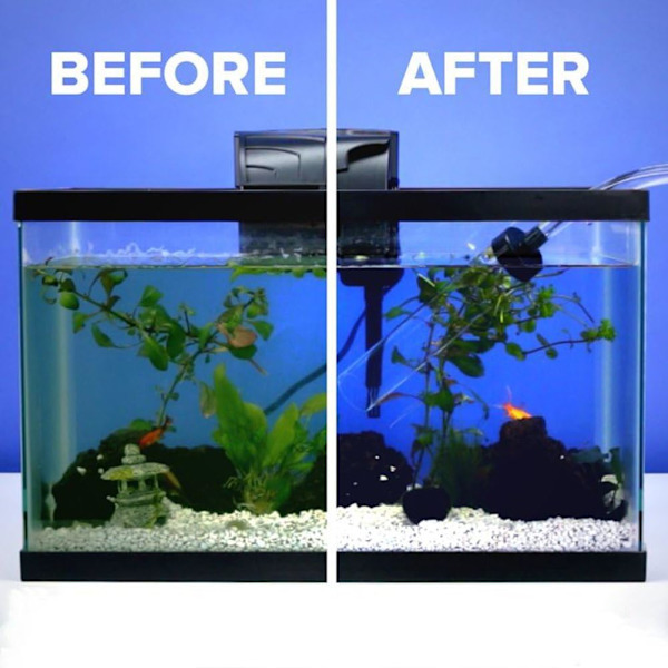 Magnetisk akvariefisketanksskraber i glas, akvatisk algeskraber C