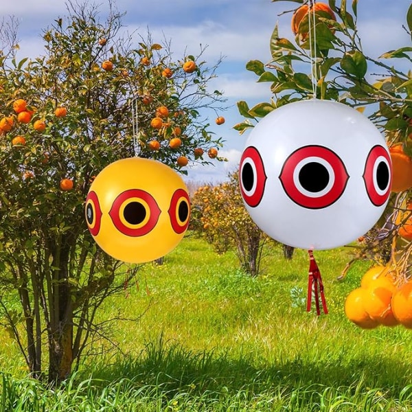 3 stycken fågelavvisande ballonger skrämmande ögonballonger fågelskrämma ba