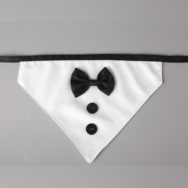 Salive Towel Pet Triangle (med Arc L